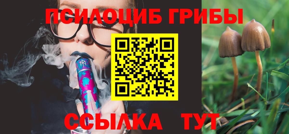 Галлюциногенные грибы GOLDEN TEACHER  Тавда 