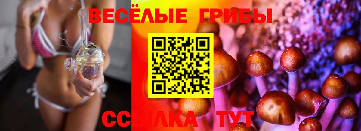 Псилоцибиновые грибы GOLDEN TEACHER Тавда