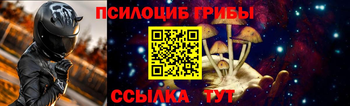 Галлюциногенные грибы мицелий Тавда