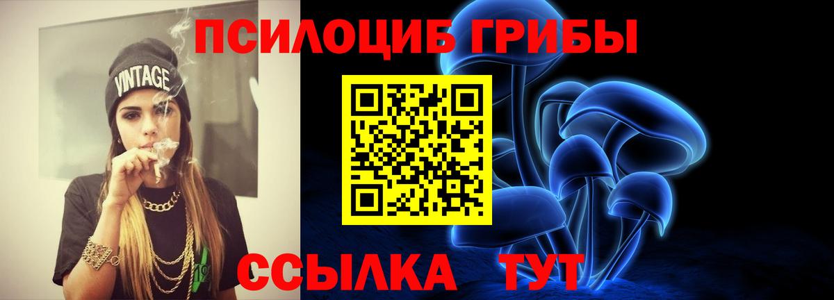 Тавда  Галлюциногенные грибы Cubensis  Вход с VPN  Псилоцибиновые грибы мицелий 