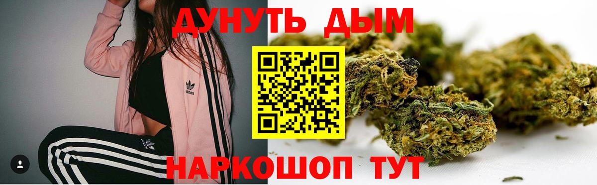 Конопля Amnesia Тавда